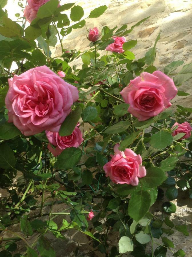 Fiesole In Giardino B&B Exterior photo