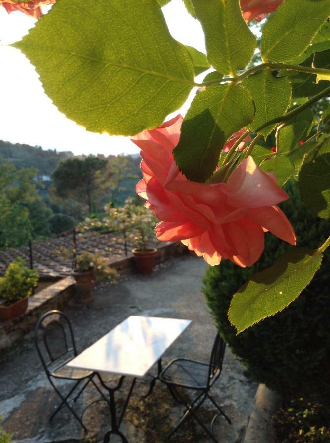 Fiesole In Giardino B&B Exterior photo
